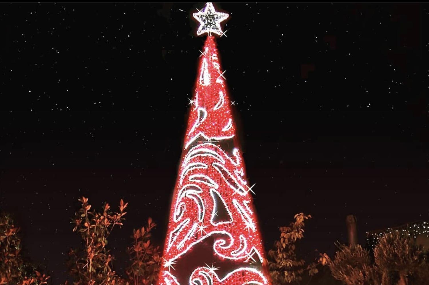 Allestimenti alberi di natale in esterna