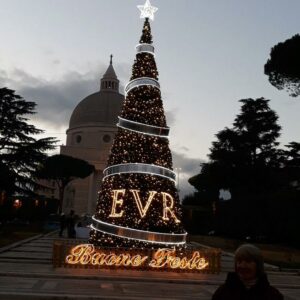Illuminazioni natalizie Albero di Natale Evr