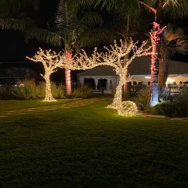 Alberi luminosi da esterno per matrimonio all'aperto