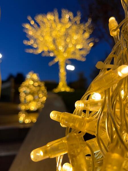 Ingrandimento delle luci led per un matrimonio d'inverno