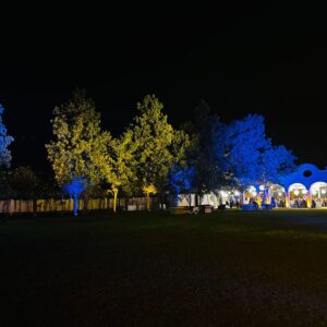 Dove organizzare una festa di compleanno in giardino