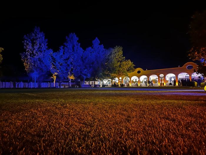 Illuminazione matrimonio in giardino